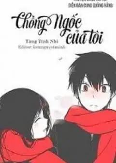 Chồng Ngốc Của Tôi