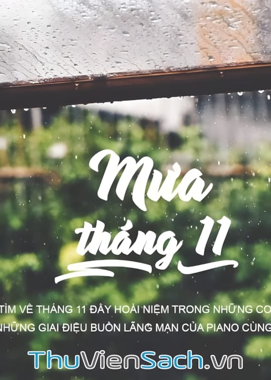Ảnh bìa sách Mưa Tháng 11