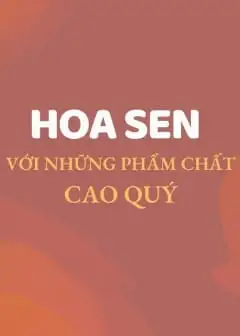 Hoa Sen Với Những Phẩm Chất Cao Quý