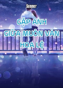 Sách Gặp Anh Giữa Muôn Vàn Hoa Lệ