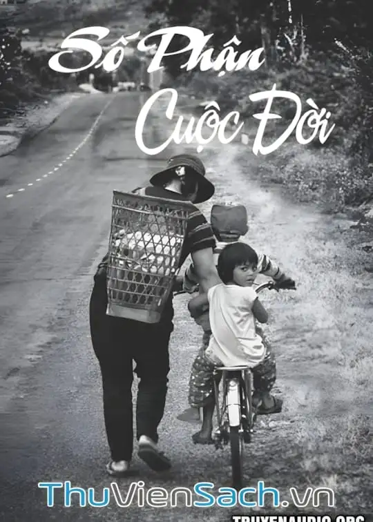 Ảnh bìa sách Số Phận Cuộc Đời