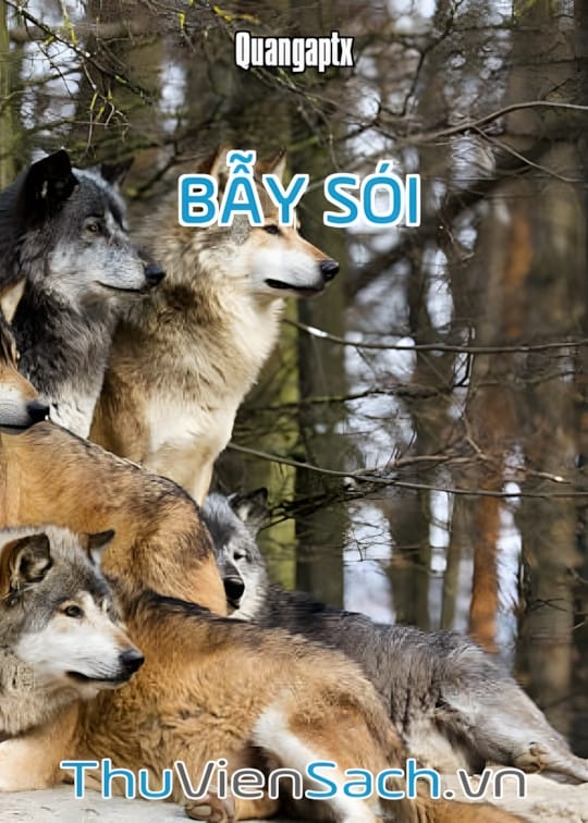 Ảnh bìa sách Bẫy Sói - Quangaptx