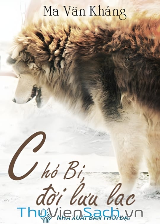 Ảnh bìa sách Chó Bi, Đời Lưu Lạc