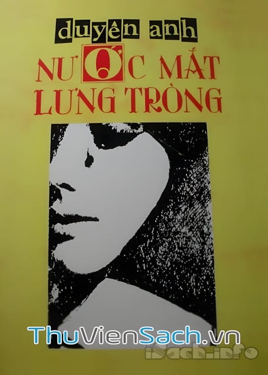 Ảnh bìa sách Nước Mắt Lưng Tròng