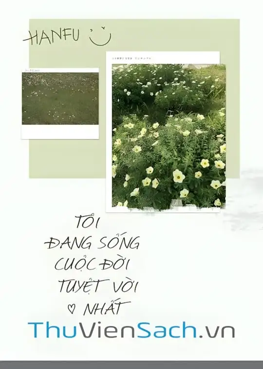 Ảnh bìa sách Tôi Đang Sống Cuộc Đời Tuyệt Vời Nhất