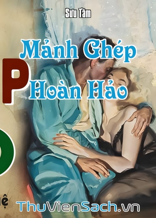 Ảnh bìa sách Mảnh Ghép Hoàn Hảo