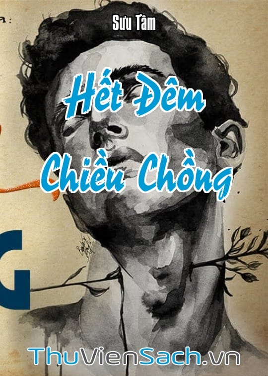 Ảnh bìa sách Hết Đêm Chiều Chồng