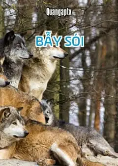Ảnh Bẫy Sói - Quangaptx