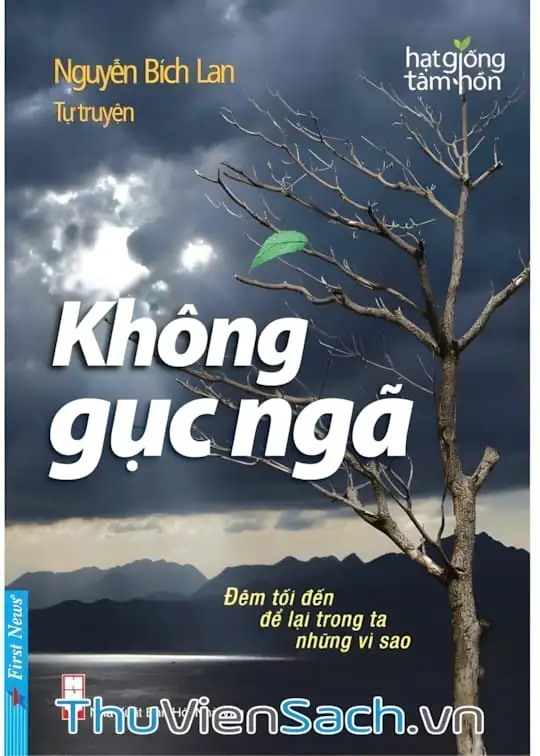 Ảnh bìa sách Không Gục Ngã