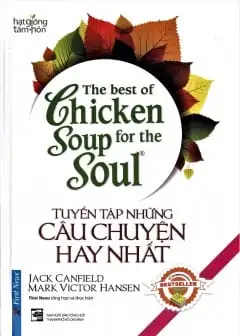 Tuyển Tập Những Câu Chuyện Hay Nhất - Chicken Soup For The Soul