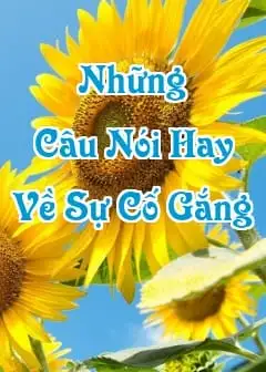 Những Câu Nói Hay Về Sự Cố Gắng, Chiến Thắng Bản Thân