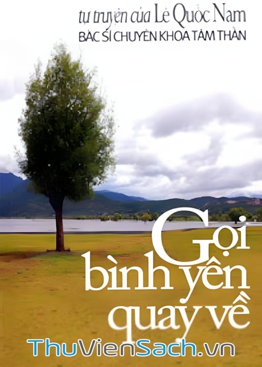 Ảnh bìa sách Gọi Bình Yên Quay Về