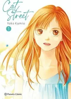 Phố Mèo - Cat Street