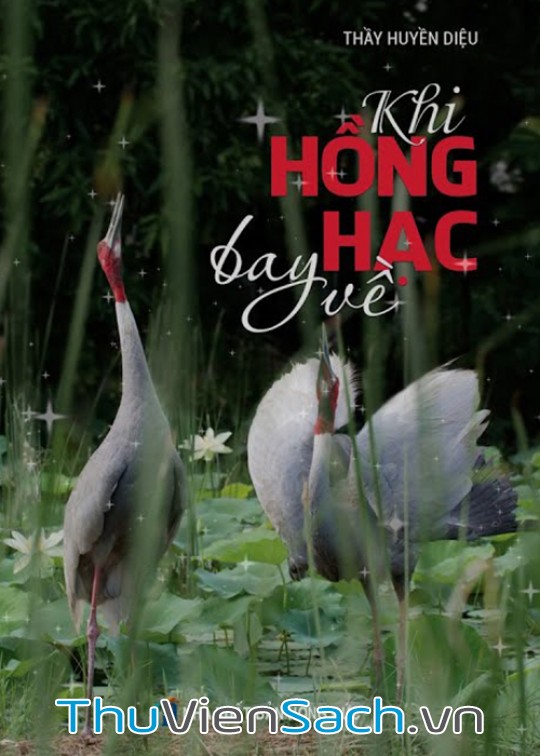 Ảnh bìa sách Khi Hồng Hạc Bay Về
