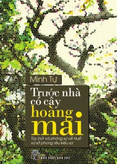 Trước Nhà Có Cây Hoàng Mai