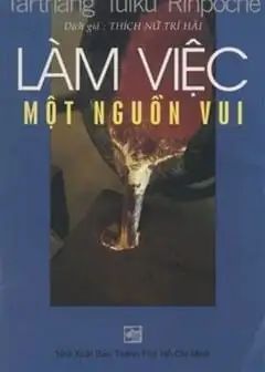 Ảnh Làm Việc - Một Nguồn Vui