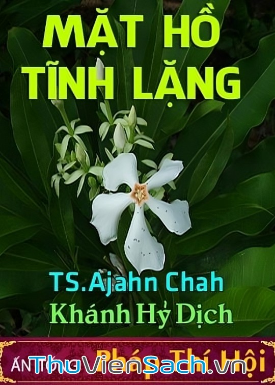 Ảnh bìa sách Mặt Hồ Tĩnh Lặng