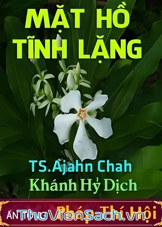 Ảnh bìa sách Mặt Hồ Tĩnh Lặng