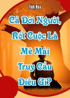 Cả Đời Người, Rốt Cuộc Là Mê Mải Truy Cầu Điều Gì?