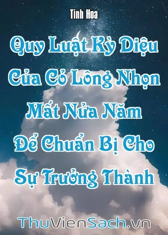 Ảnh bìa sách Quy Luật Kỳ Diệu Của Cỏ Lông Nhọn: Mất Nửa Năm Để Chuẩn Bị Cho Sự Trưởng Thành
