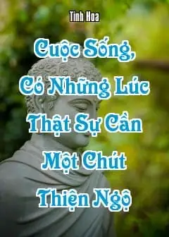 Cuộc Sống, Có Những Lúc Thật Sự Cần Một Chút Thiện Ngộ